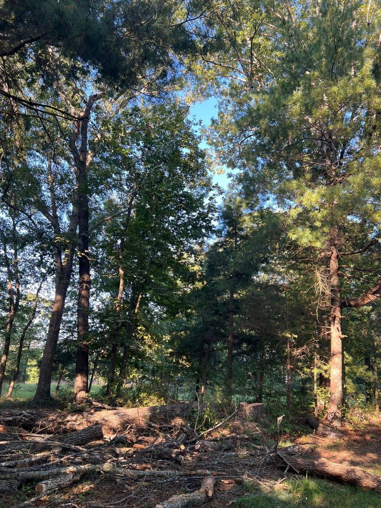All Photos for Brooks Tree Service in Casar, NC