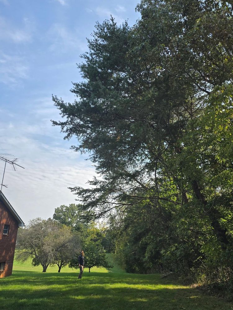 All Photos for M&L Lumber and Excavating in Jonesborough, TN