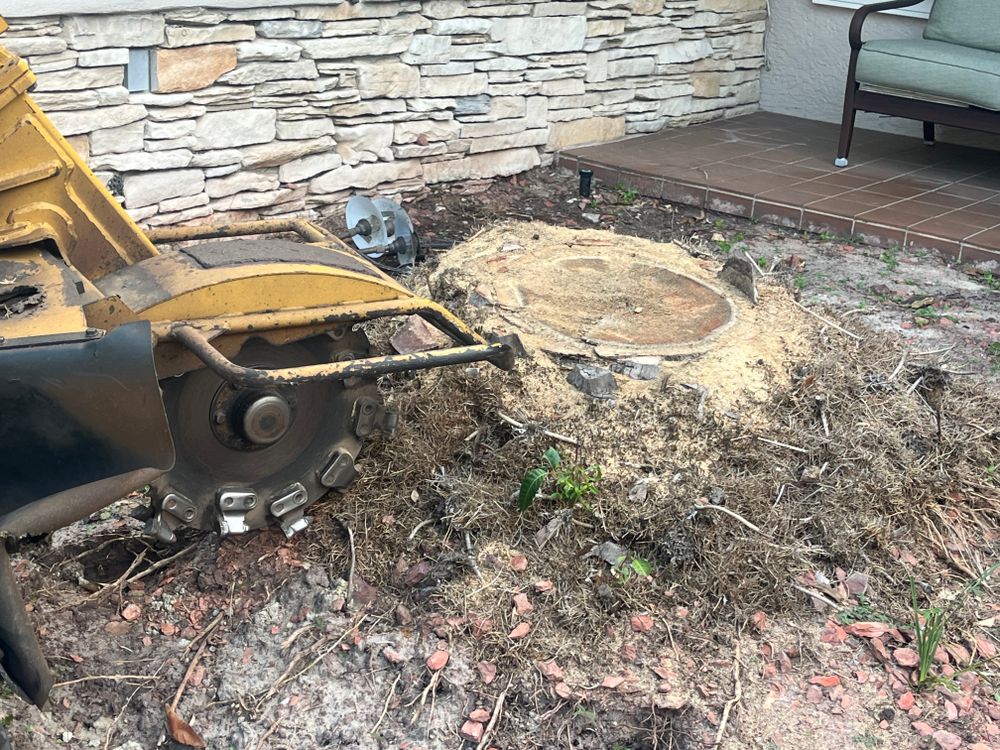 All Photos for Busy Beaver Stump Removal, Inc in Clearwater, FL