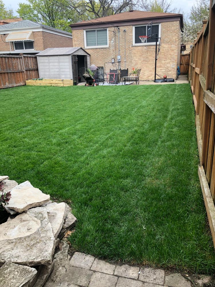 Our Sod Install service transforms your lawn with lush, green grass while we also offer convenient "christmas lights installation near me" for a festive, beautifully lit home this holiday season. for Copeland Services in New Port Richey, FL