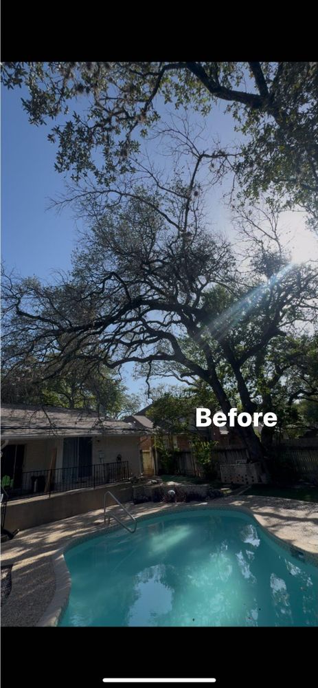 All Photos for Z’s Trees LLC in Grey Forest, TX