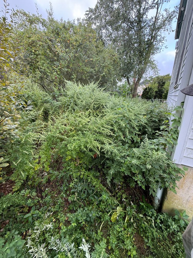 All Photos for Lucas Property Maintenance LLC in New Bedford, MA