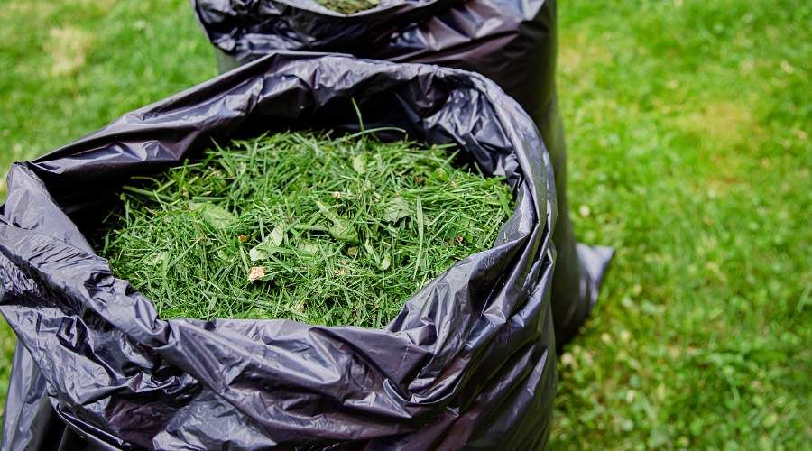 experience eco-friendly solutions with our Green Trash Removal service, including efficient stump tree removal, ensuring your lawn stays pristine while we responsibly manage and recycle all waste materials. for Coney's Quality Lawn Services LLC in Aurora, CO