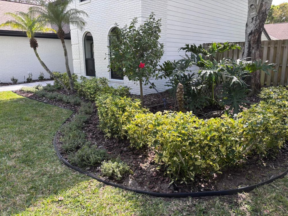 All Photos for Tolliver’s landscape LLC in Palm Bay, FL