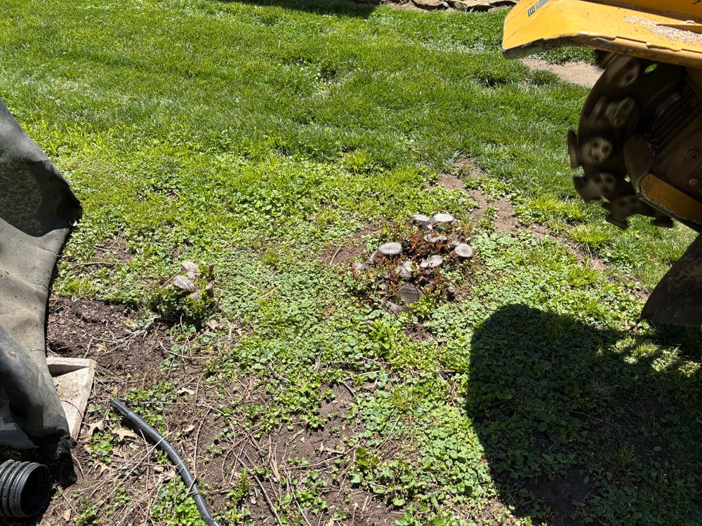 All Photos for Conrad's Stump Removal in Columbus, IN