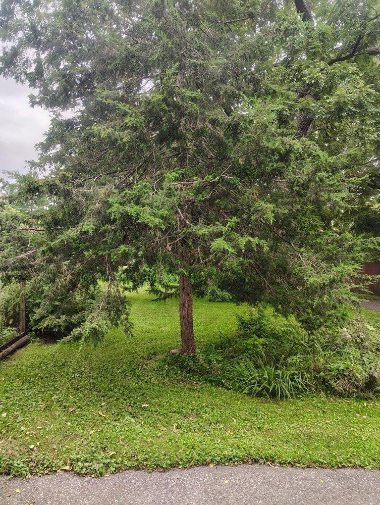 All Photos for Big River lawn Care services and snow LLC in Wausau, WI