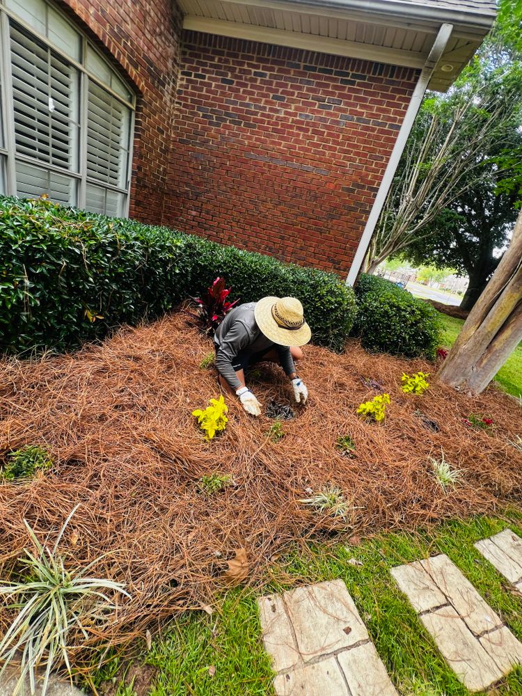All Photos for Enhanced Landscape in Daphne, AL