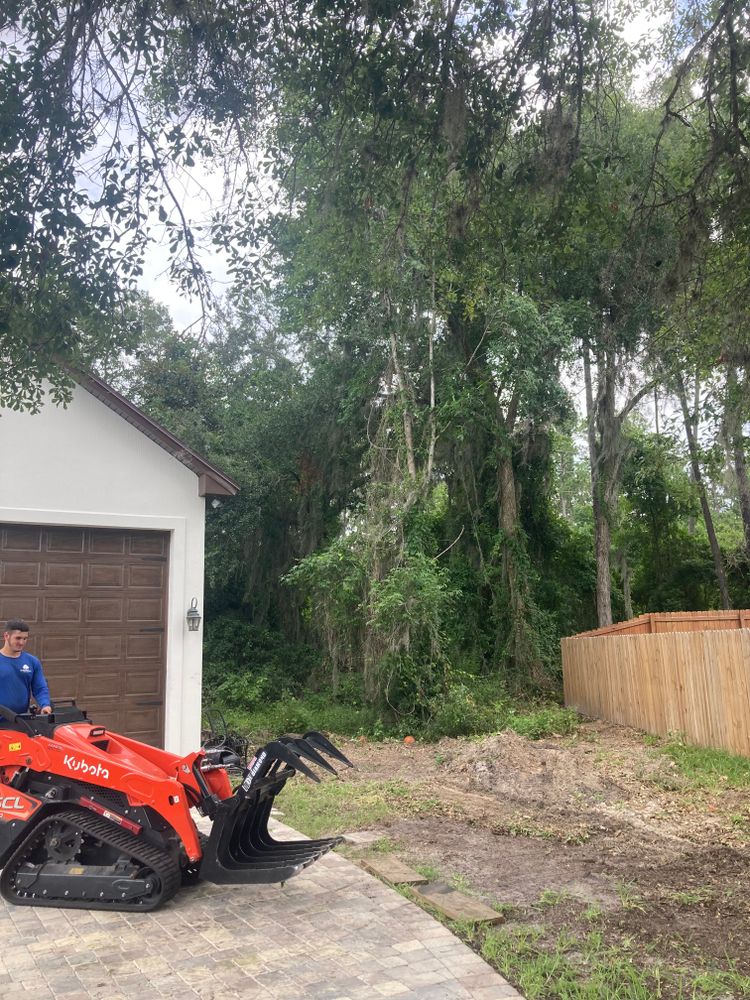 Tree Removal for Top Notch Tree Experts in Orange Park, FL