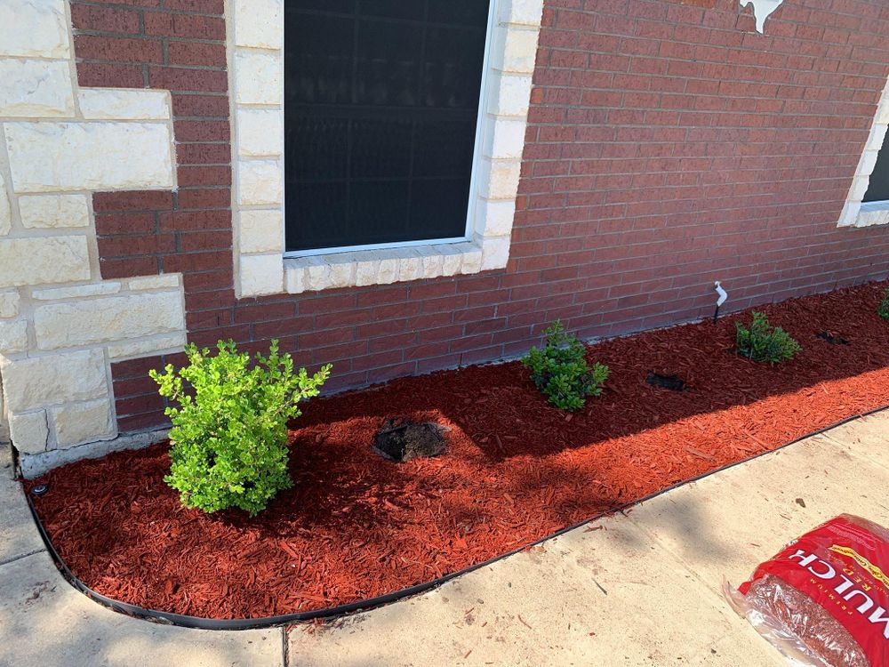 All Photos for Father & Son Lawn Care in Killeen, TX
