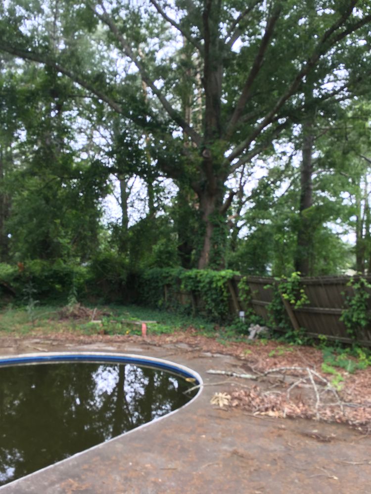 All Photos for Tucker's Tree Service and Stump Grinding in Lugoff, SC