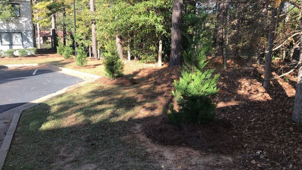 All Photos for Cornerstone landscapes in Lecanto, FL