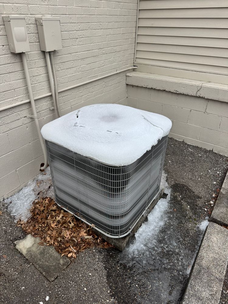 All Photos for College Grove Service Company in College Grove, TN