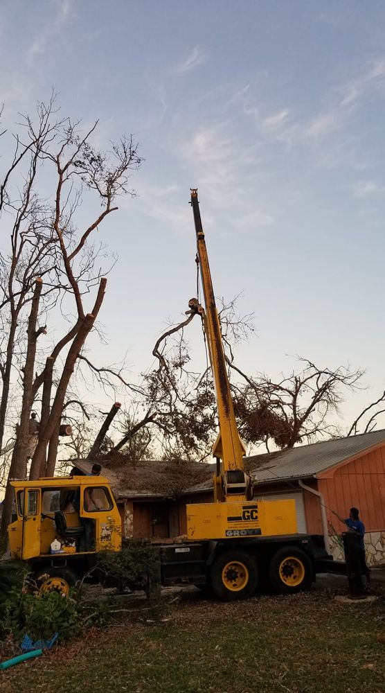 Tree Removal for Spruce Creek Tree Service in Port Orange, FL