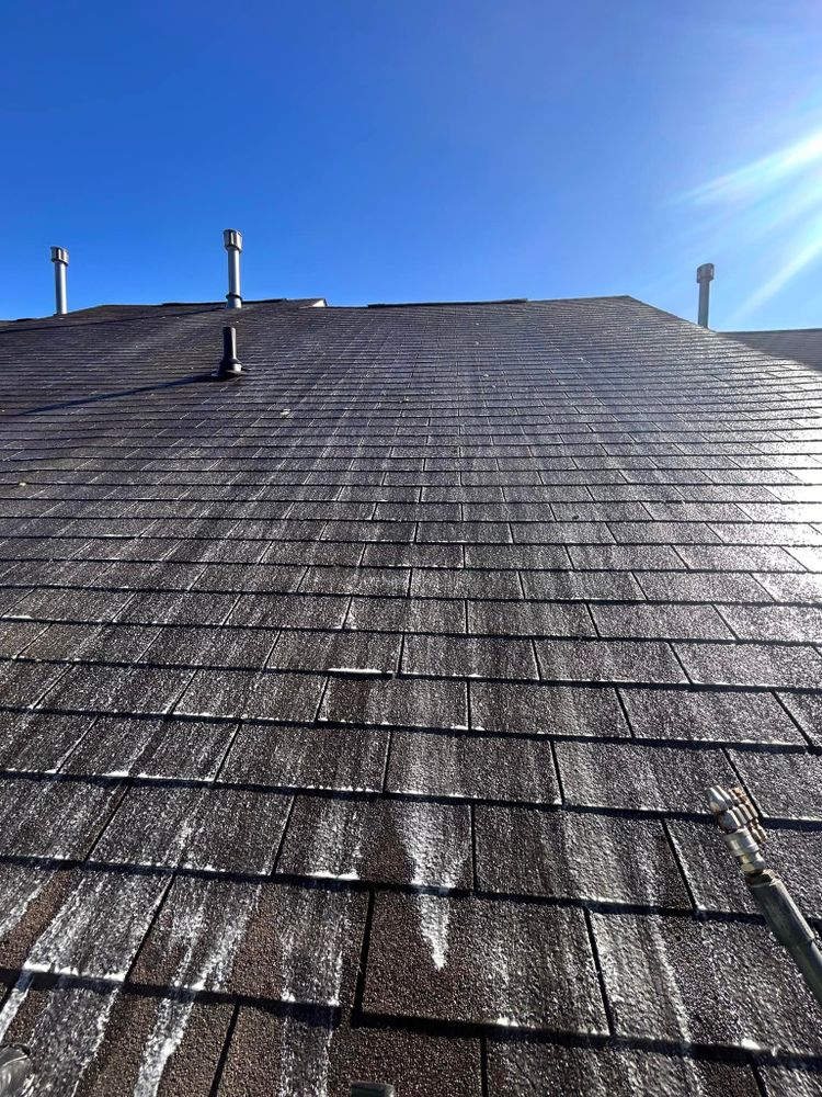 Our professional roof cleaning service effectively removes dirt, moss, and algae from your roof to restore its appearance and extend its lifespan, enhancing the overall curb appeal of your home. for Nuflo Gutter Cleaning & Pressure Washing in Blackwood, NJ