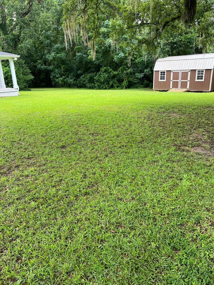 Landscaping for Joseys Lawn and Tree Care in Chipley, FL