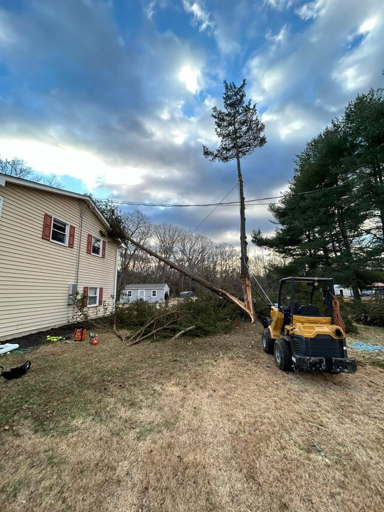 All Photos for Hingewood Tree Service in Salem, NJ
