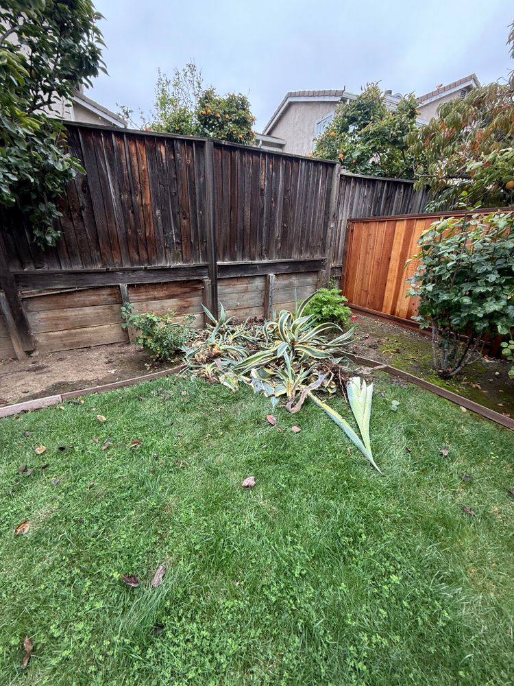 All Photos for CBA Landscaping in Hayward, CA