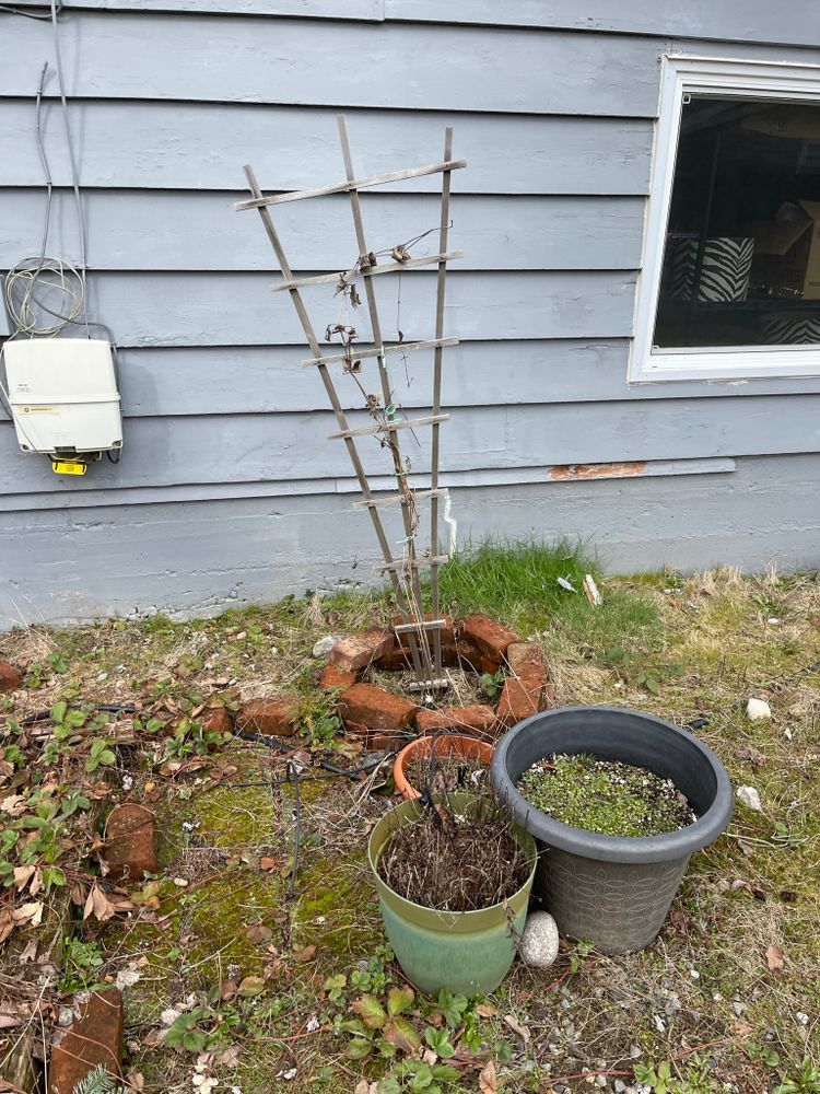 All Photos for Tony's Remodeling & Painting in Renton, WA