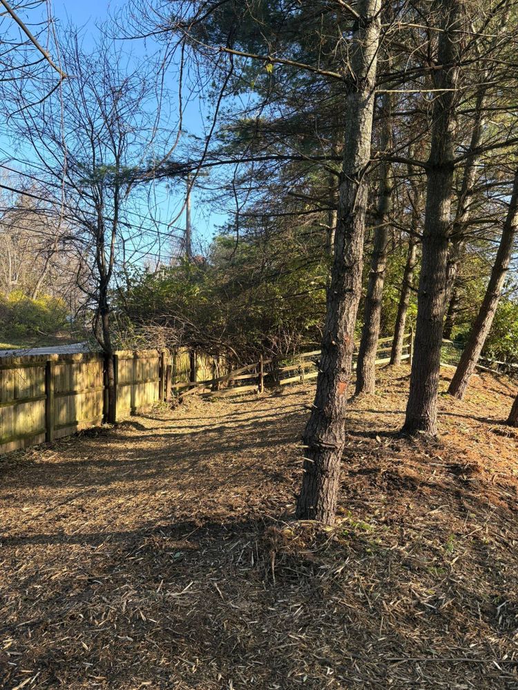 All Photos for Dig-It Tree Company in Mason, OH