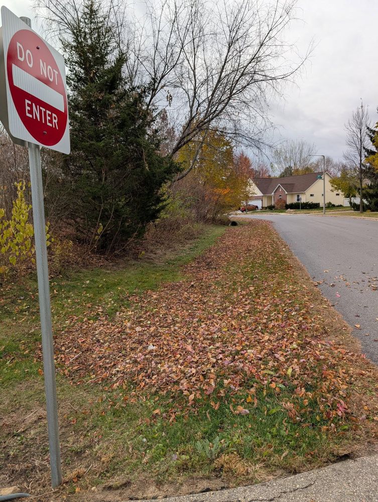 All Photos for TCB Lawn Care & Snow Removal in Sun Prairie, WI