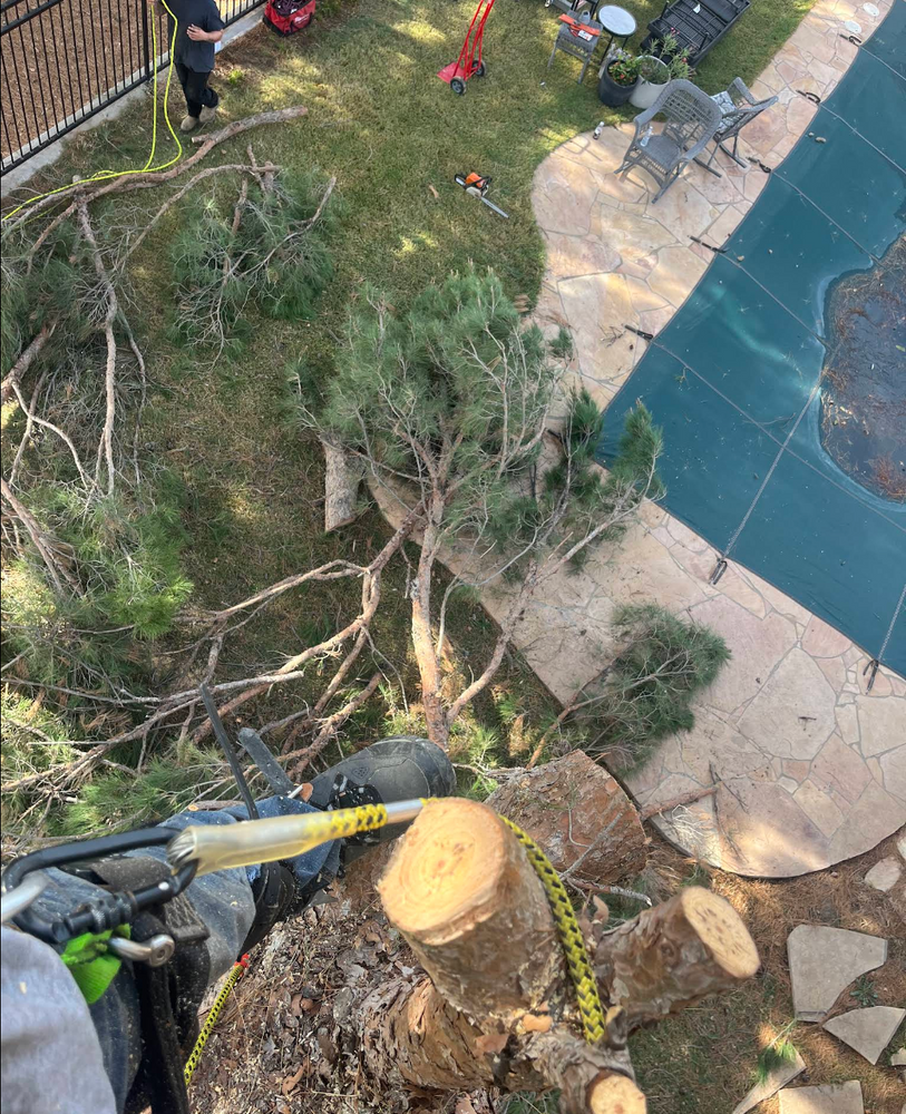 All Photos for Stone's Tree Services and Landscaping in Midland, TX