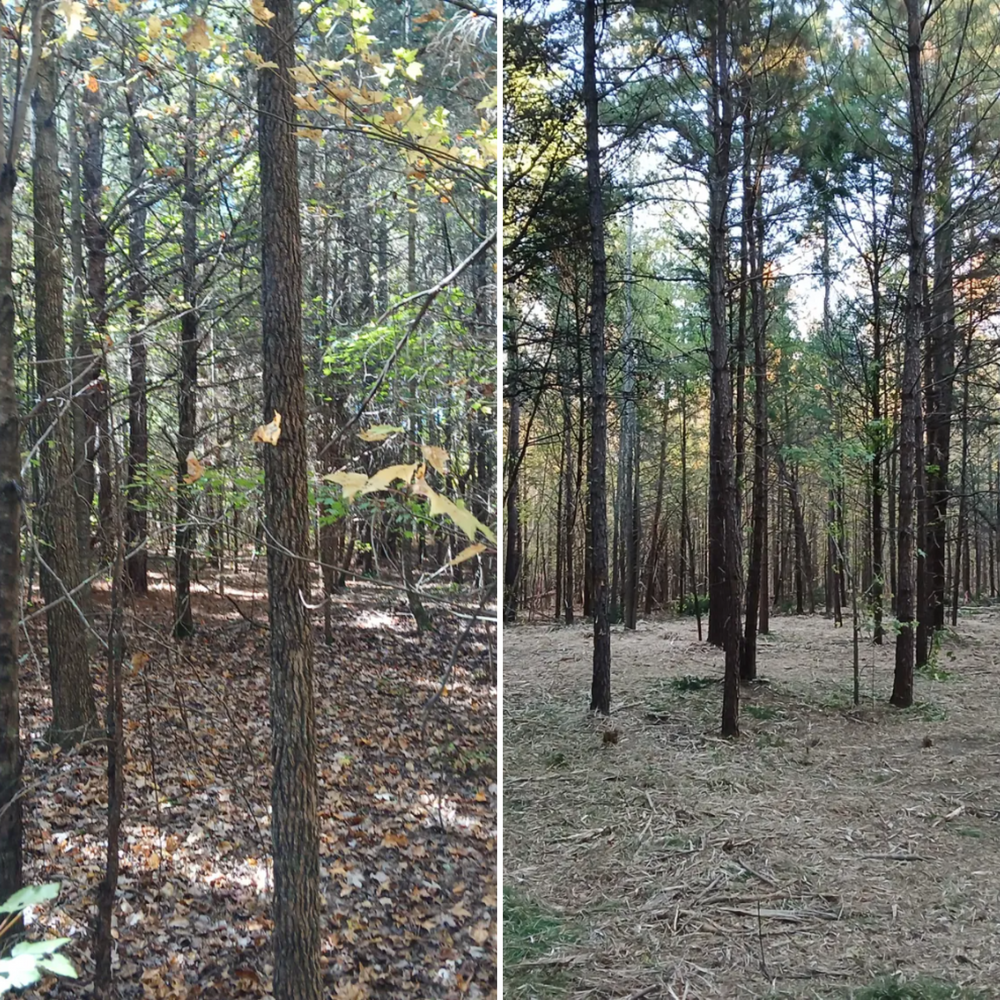 All Photos for Whiskey Ridge Mulching & Land Services in South Boston, VA