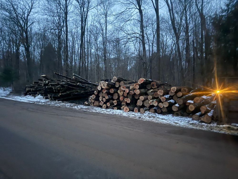 Timber Sales for Lovenguth Logging and Tree Service in West Monroe, NY
