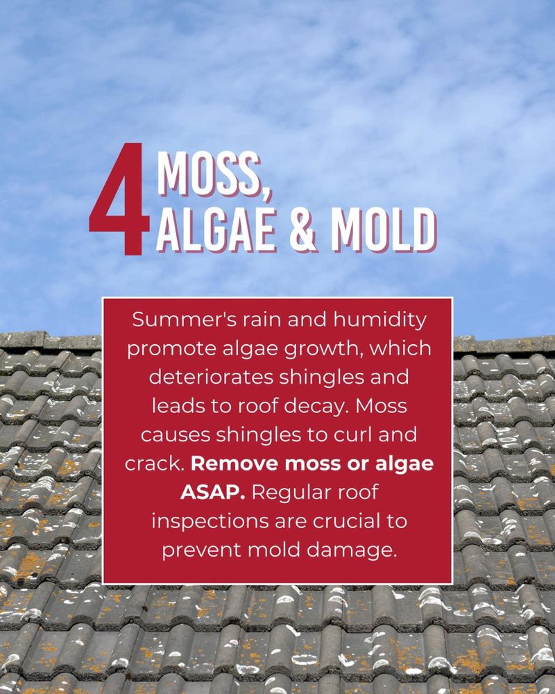 All Photos for Full Roof Replacement and Repairs & Seamless Guttering in Saint Joseph, MO