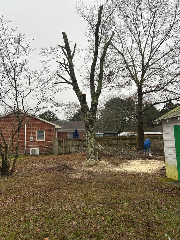 All Photos for The Whole 9 Yards Landscape VA in Heathsville, VA