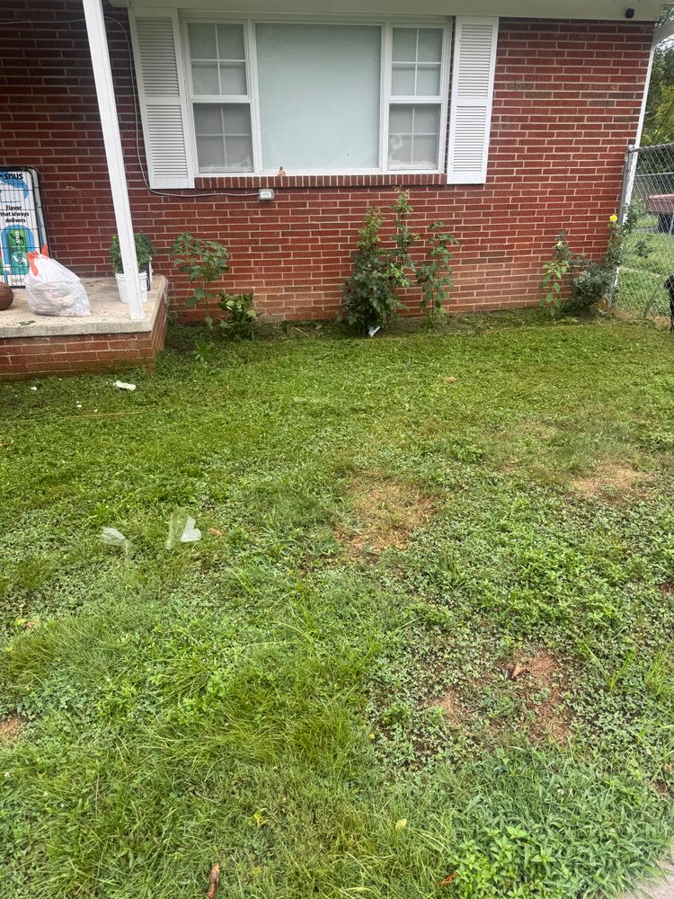 All Photos for R&M Property Maintenance in White Pine, TN