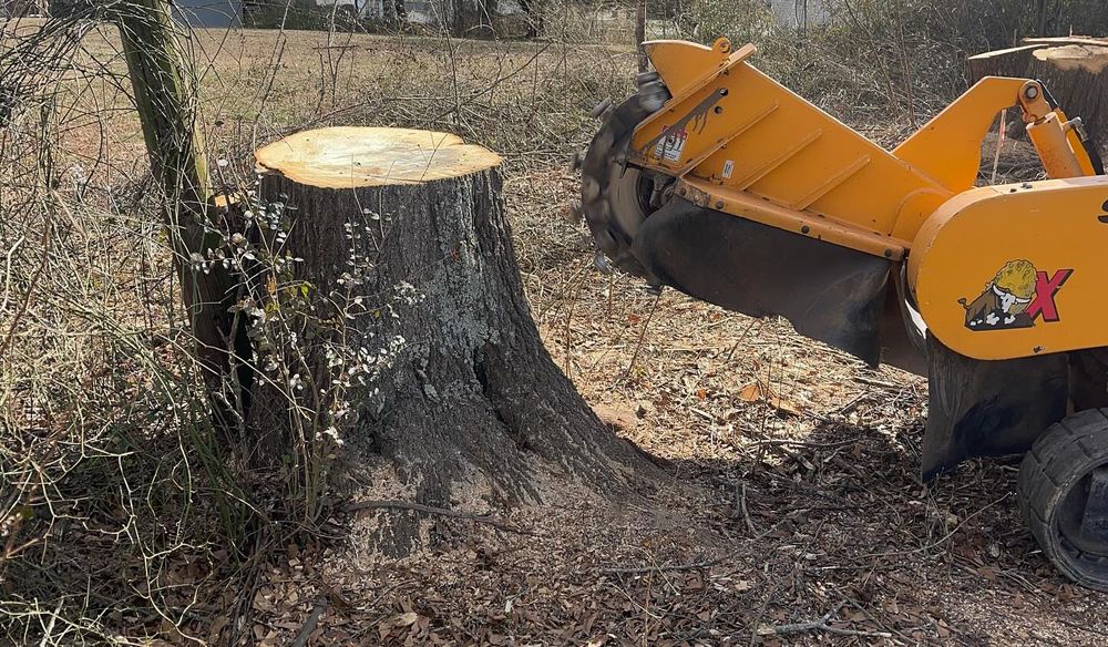 Our professional stump grinding service efficiently and safely removes unsightly tree stumps from your property, providing a cleaner, more visually appealing landscape for your home. for J&K Stump Grinding in Detroit, MI