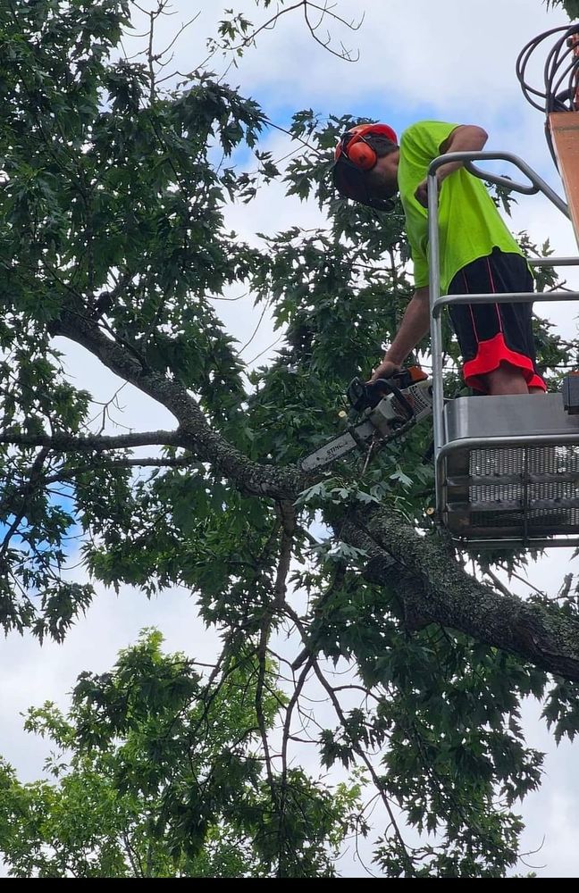 Other Services for Millers Tree Service in Saline County, AR