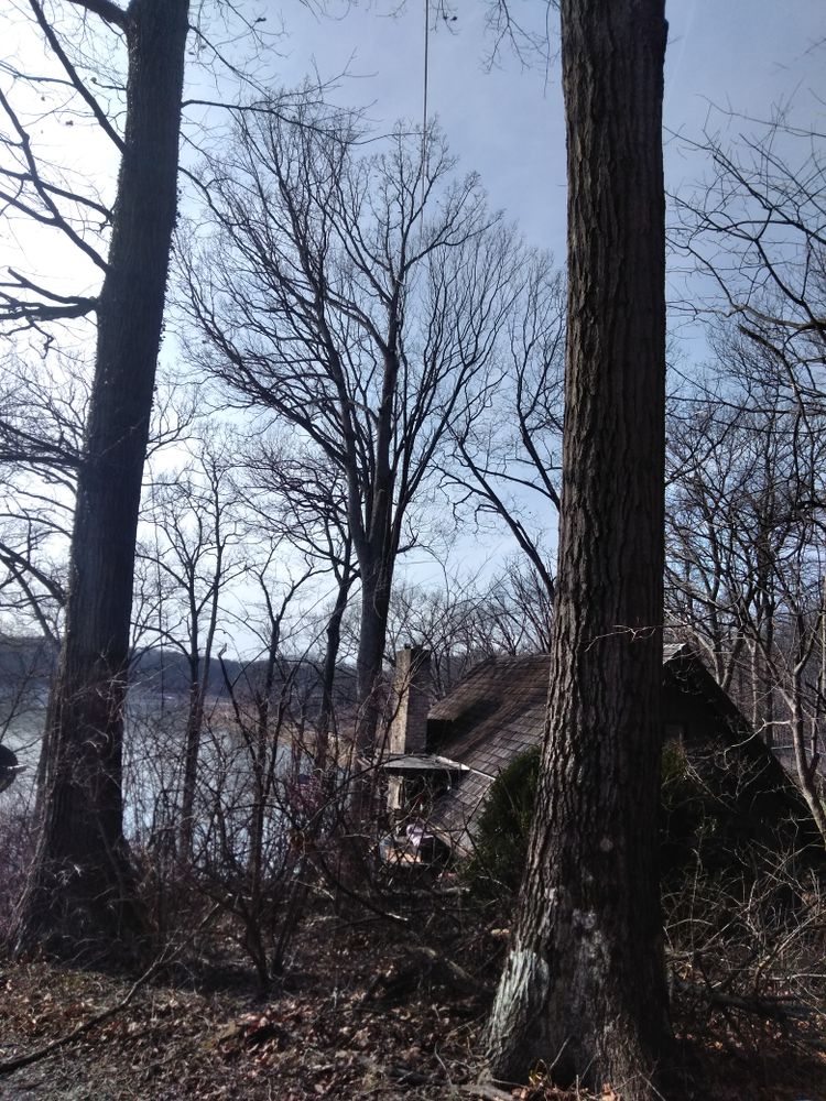 All Photos for Advanced Tree Solutions in Rockville, IN