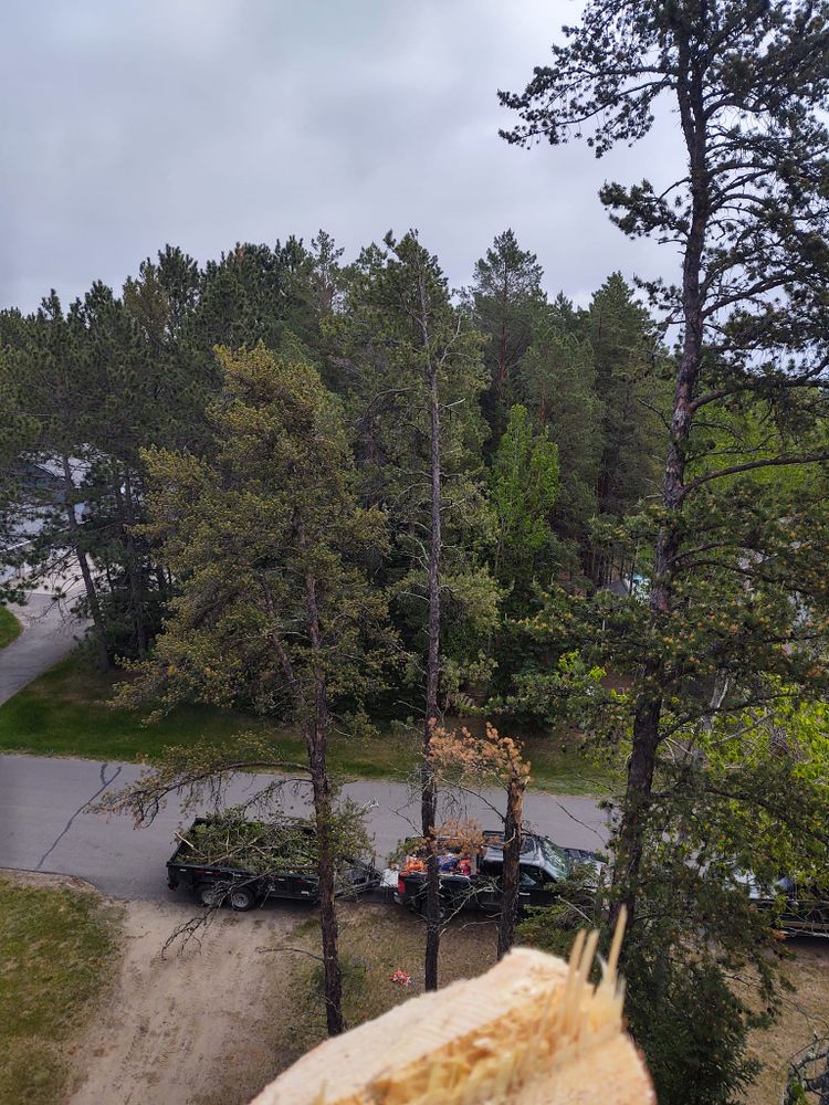All Photos for Wenzels Tree Service LLC  in Bemidji, MN