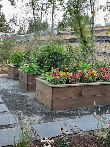 All Photos for Courtney Lewis Landscape Design in Portland, OR