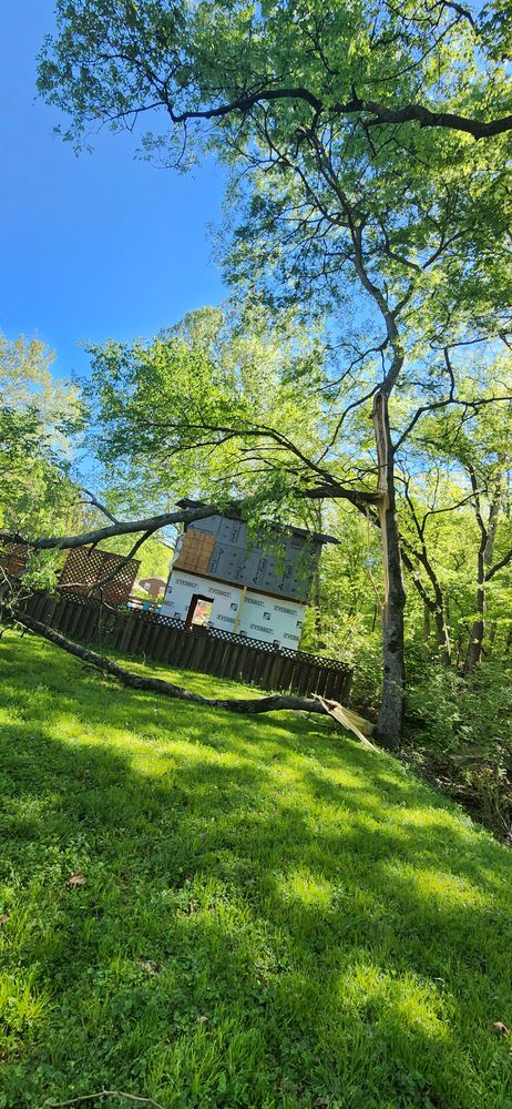 All Photos for Tree Fellers in Sumner County, TN