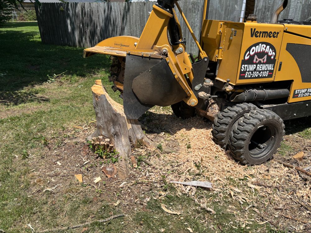 All Photos for Conrad's Stump Removal in Columbus, IN