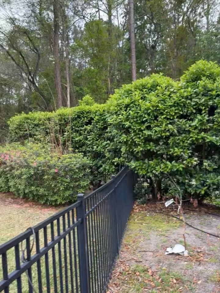 All Photos for Whole 9 Yards Services LLC in Green Cove Springs, FL