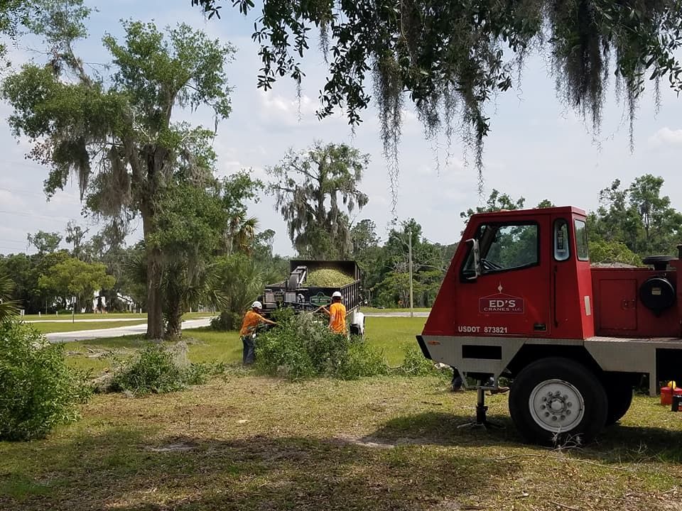 Tree Removal for Daniel Hickey’s Tree Service in DeLand, FL