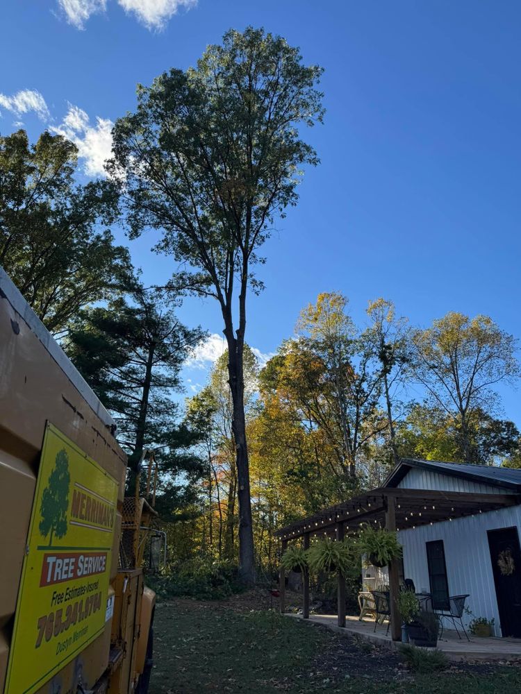 All Photos for Merriman's Tree Service in Nineveh,  IN