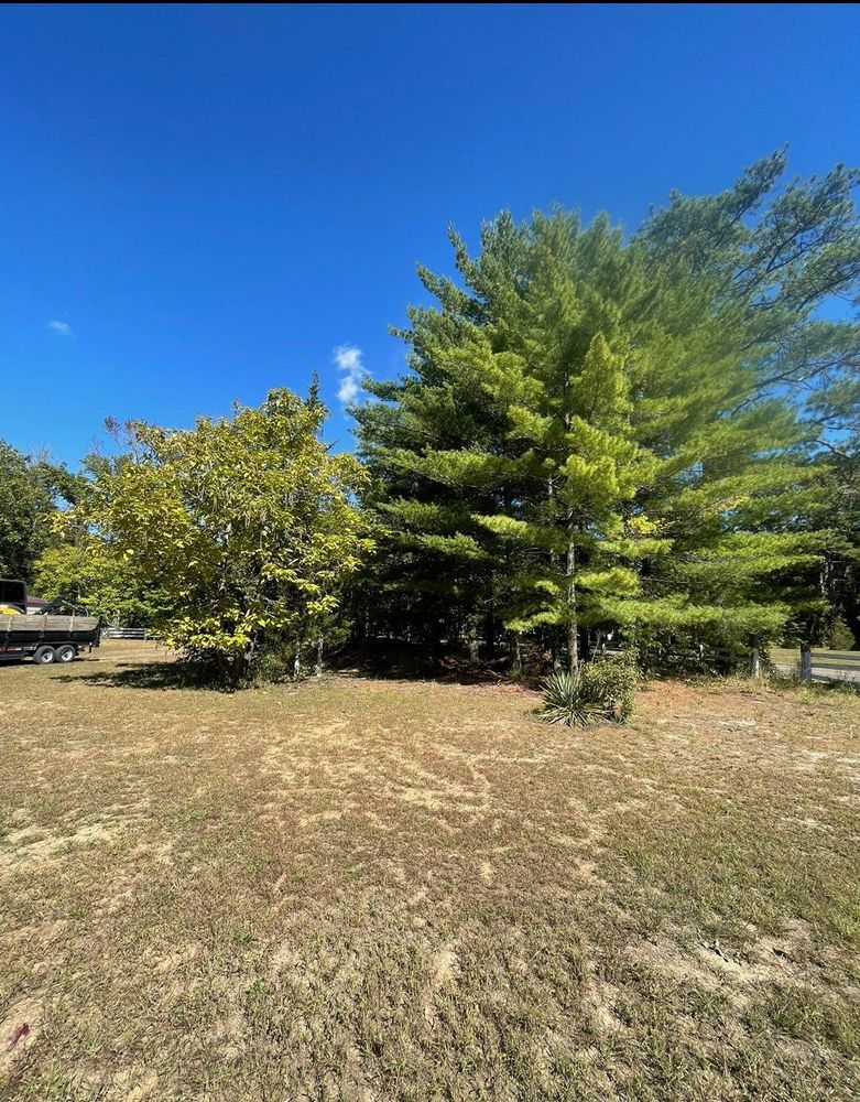 All Photos for GT Lawn Care in Egg Harbor Township, NJ