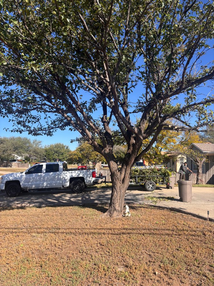 All Photos for Marple Services in Amarillo, TX