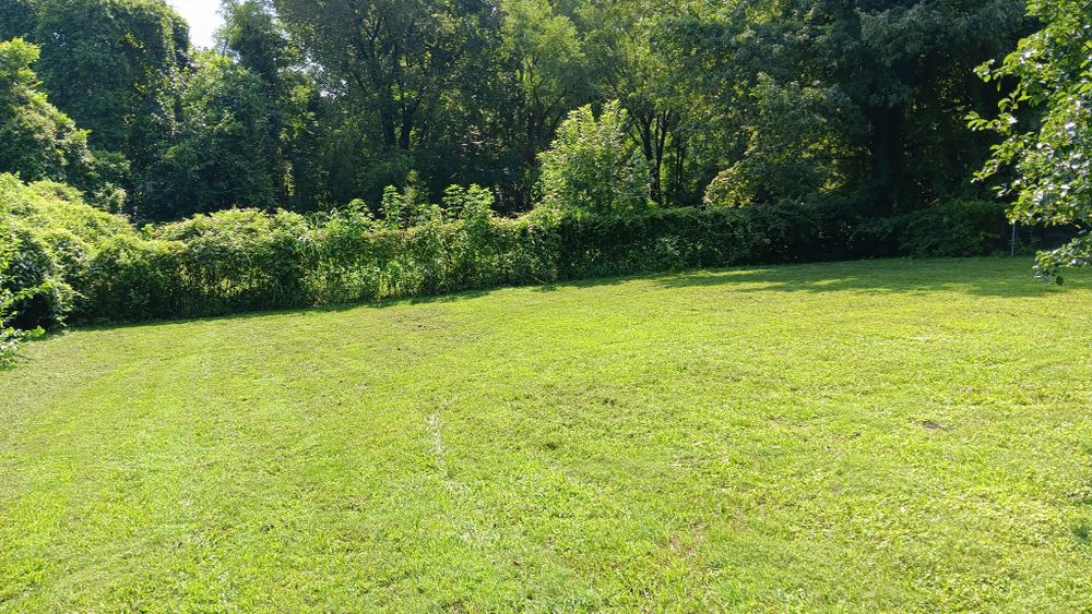 Landscaping for Big Guy's Lawn Care & Landscaping Services in Memphis, TN