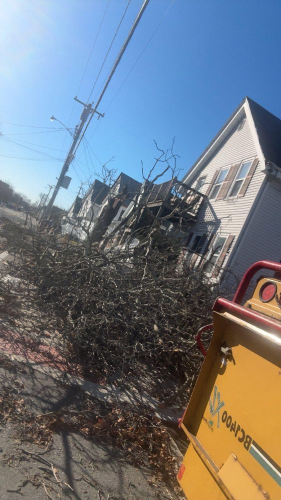 All Photos for Dwights Tree Service in Middleborough, MA