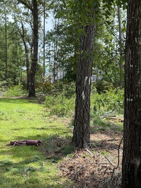 All Photos for Hawkins Tree Service & Land Management in Richmond Hill, GA