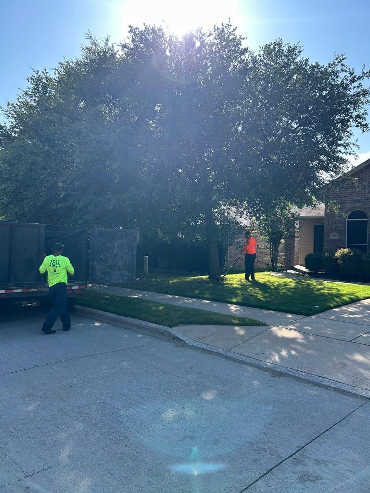 All Photos for Teague Trees and Land Clearing in Rendon, TX
