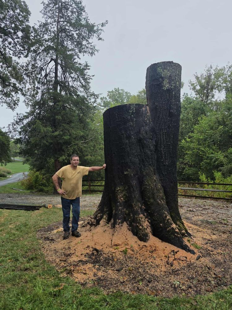 All Photos for Smith Tree Experts in Palmyra, VA