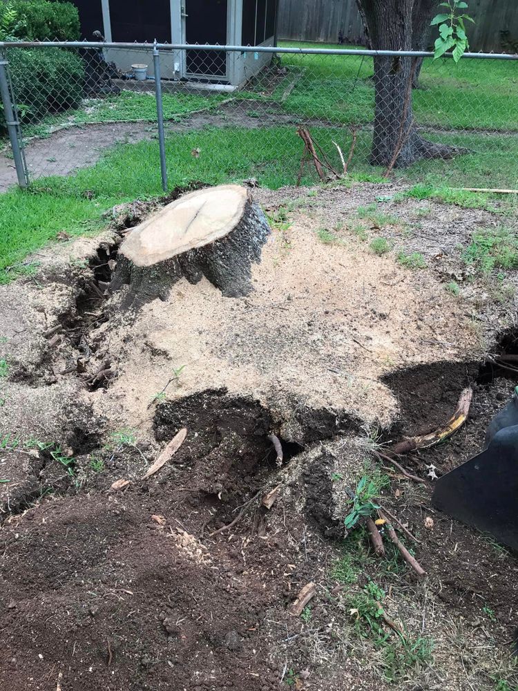 All Photos for Camerons Stump Grinding & Tree Services in Austin, TX