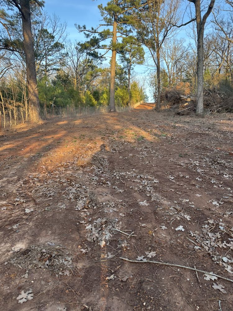 Land Clearing for Tyler Sand Gravel And Excavation in Ben Wheeler, TX