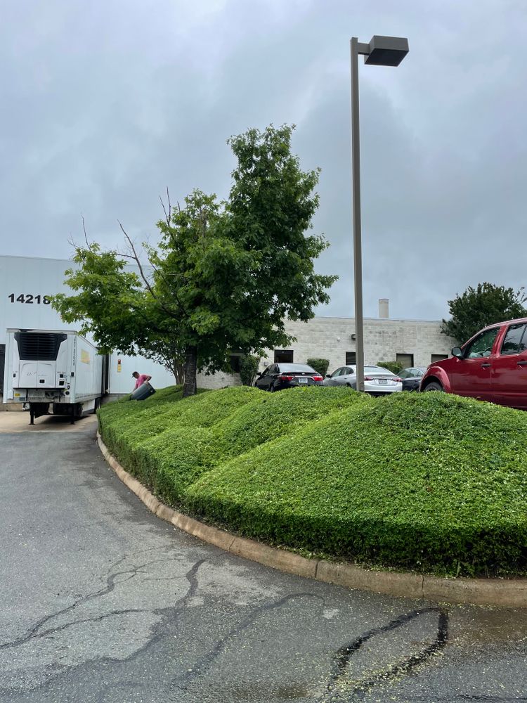 Landscaping for Chiles Lawn & Landscaping in Gordonsville, VA